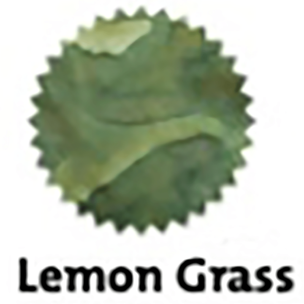 Robert Oster Signature Ink Bottle - Lemon Grass - 50ml - Pen Boutique Ltd