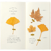 Traveler's Notebook 025 Refill - Regular Size - Blank - Pen Boutique Ltd